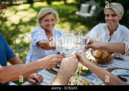 Brindisi multigenerazionali in famiglia durante una festa al barbecue all'aperto. Foto Stock
