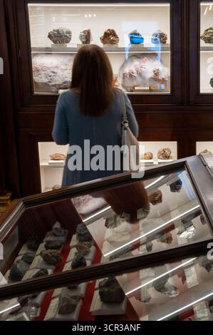 Una donna osserva i minerali in una vetrina a parete presso il Museo Mineralogico reale di Napoli (Real Museo Mineralogico) Foto Stock