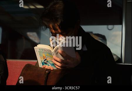 L'uomo che indossa occhiali e una maschera si siede su un treno, appoggiandosi intensamente al suo libro mentre la luce del sole mette in evidenza la copertina colorata Foto Stock