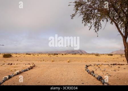 Sossusvlei, Namibia: Un paesaggio surreale di dune e piante desertiche resilienti Foto Stock