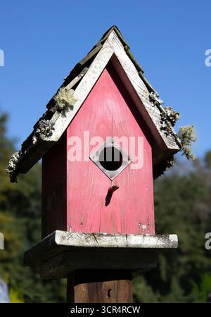 A Birdhouse stands in a garden in New Bern North carolina covered with Lichen and Moss growth. Foto Stock
