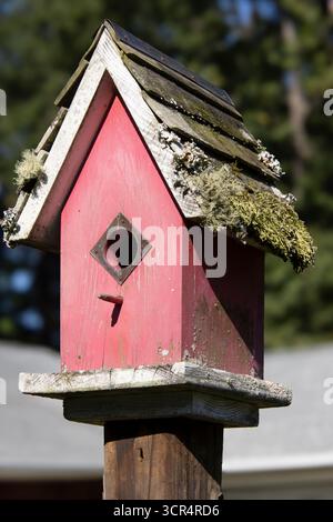 A Birdhouse standing in a garden in New Bern, North carolina is slowly having it's roof covered with natural fungus growth. Foto Stock