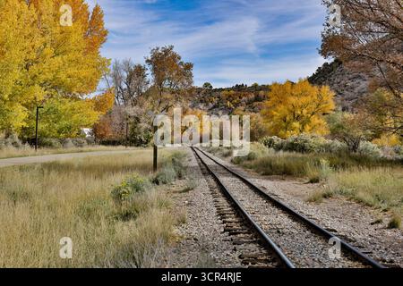 Colori autunnali lungo la Durango and Silverton Railroad vicino a Durango, Colorado Foto Stock