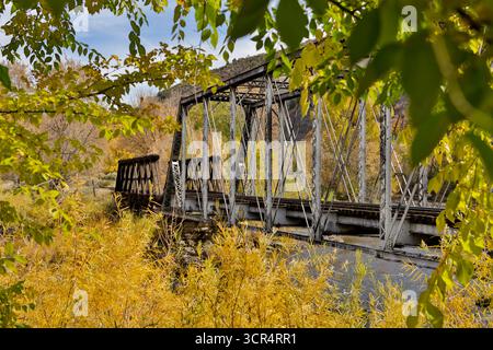 Colori autunnali lungo il ponte di Durango e Silverton Railroad vicino a Durango, Colorado Foto Stock