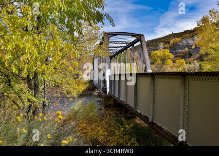 Colori autunnali lungo il ponte di Durango e Silverton Railroad vicino a Durango, Colorado Foto Stock