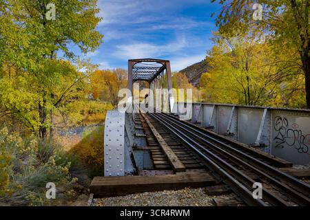 Colori autunnali lungo il ponte di Durango e Silverton Railroad vicino a Durango, Colorado Foto Stock