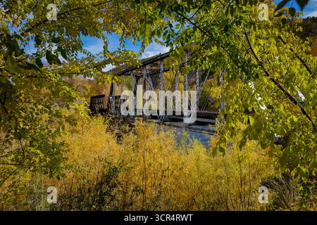 Colori autunnali lungo Durango e Silverton Railroad vicino a Durango, Colorado Foto Stock