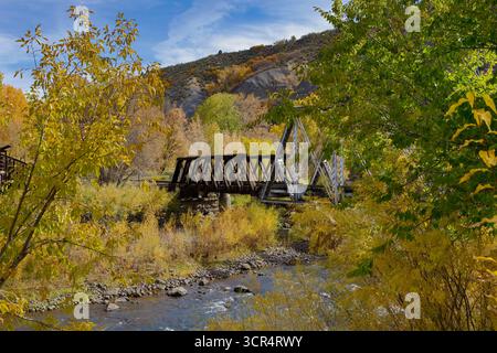 Colori autunnali lungo Durango e Silverton Railroad vicino a Durango, Colorado Foto Stock