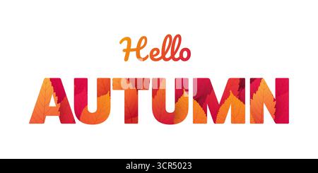 Hello Autumn text design con foglie autunnali colorate e lettere a motivi geometrici. Tipografia vettoriale stagionale, perfetta per i saluti autunnali, i poster e gli inviti Illustrazione Vettoriale