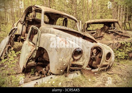 Vecchie macchine da rottami arrugginite e intemperie in una foresta Foto Stock