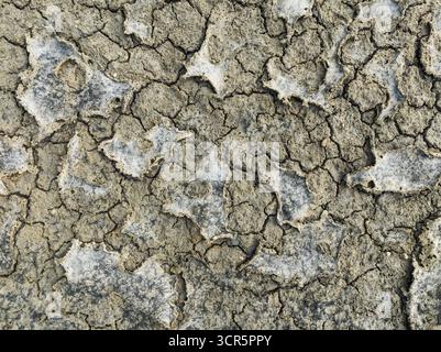 Vista aerea della terra arroccata che rivela depositi di sale bianco e aspro in mezzo a un paesaggio crepato e arido, creando un mosaico testurizzato di sopravvivenza, la baia di Cádi Foto Stock