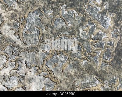 Vista aerea della terra incrinata che rivela intricati schemi di erosione e agenti atmosferici, un arazzo di texture e toni sotto il sole, Baia di Cádiz, Cádi Foto Stock