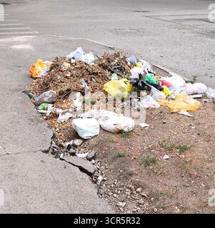 Una grande pila di spazzatura scaricata proprio sul lato della strada. Vari rifiuti, compresi sacchetti di plastica, bottiglie vuote, foglie e rifiuti domestici, giace Foto Stock