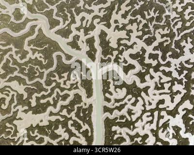 Vista aerea dei tortuosi corsi d'acqua intagliano intricati motivi attraverso la terra, creando un ipnotico arazzo di texture e toni dall'alto, Bay Foto Stock