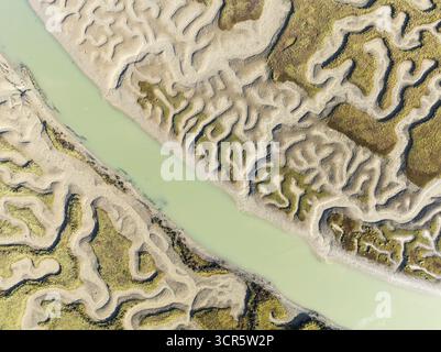 Vista aerea dei tortuosi corsi d'acqua scavati nella terra, creando un ipnotico arazzo di colori e motivi contrastanti, la Baia di Cádiz Foto Stock