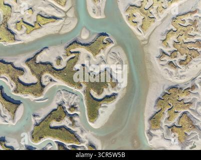 Veduta aerea dei tortuosi corsi d'acqua scavati attraverso il paesaggio sabbioso, creando un arazzo di texture e toni, un affascinante balletto dell'arte della natura Foto Stock