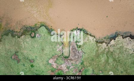 La vista aerea del forte contrasto tra le acque fangose e la vibrante terra verde crea una scena affascinante, Solai, Nakuru County, Kenya. Foto Stock