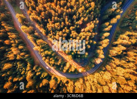 Veduta aerea da droni della strada tortuosa attraverso la colorata foresta autunnale Foto Stock