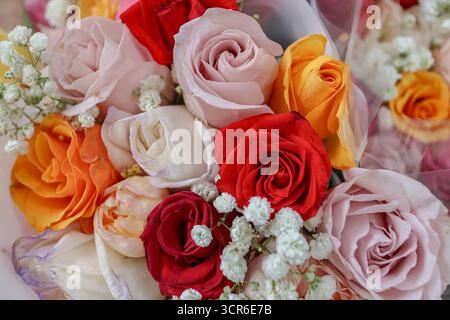 Bouquet di rose multicolore con rose rosse, rosa, bianche e gialle accentuate da gypsophila su sfondo pastello. Elegante primo piano floreale. Foto Stock