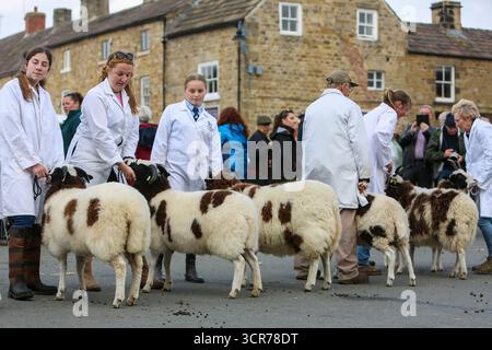 Mostra Jacob Sheep alla 40th Masham Sheep Fair, Masham, North Yorkshire, Inghilterra 2025 Foto Stock