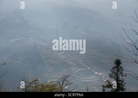 Terrazze di riso Yuan Yang - bada sotto il tramonto nella provincia cinese dello Yunnan. Chiudere l'immagine con spazio di copia Foto Stock