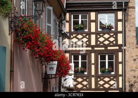 Eguisheim è un bellissimo villaggio medievale nella regione vinicola dell'Alsazia, nella Francia nord-orientale. Foto Stock