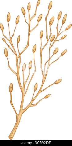 Elementi autunnali vettoriali disegnati a mano. Foglie autunnali, funghi, acero, ghiande, bacche, quercia, zucche. Tempo di raccolta. Illustrazione colorata alla moda Autumn flo Illustrazione Vettoriale