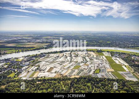 Vista aerea, fattorie orticole e uso agricolo nel quartiere di Volmerswerth, forme e colori con rappresentazione grafica, fiume Reno e. Foto Stock