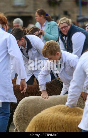 40th Masham Sheep Fair, North Yorkshire 2025 Foto Stock