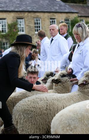 A giudicare alla 40a Masham Sheep Fair, North Yorkshire 2025 Foto Stock