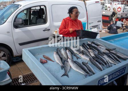 Fish Seller o Fishmonger che vende pesce fresco al Quayside Vieux Port Marsiglia o Marsiglia Francia Foto Stock