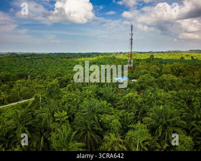 Vista aerea con drone della vasta piantagione di olio di palma e della torre di Sabah, Borneo. Foto Stock
