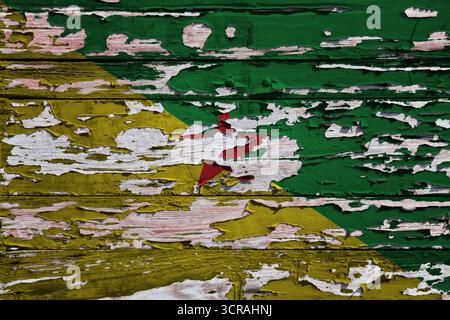 Bandiera della Guyana francese dipinta su una tavola di legno grunge. Foto Stock