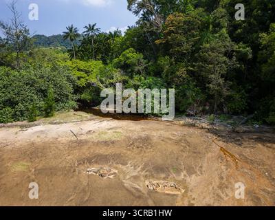 Ecosistema tropicale della foresta pluviale con fitte fogliame verde visto dall'alto in Malesia Foto Stock