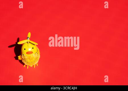 Il pulcino piccolo carino in un casco è solo su uno sfondo rosso. Concettuale. Foto Stock