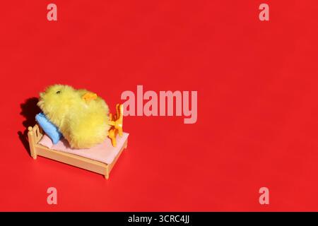 Pulcino piccolo cute che si prepara per andare a dormire nel suo letto. Concettuale. Foto Stock