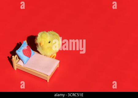 Pulcino piccolo cute che si prepara per andare a dormire nel suo letto. Concettuale. Foto Stock