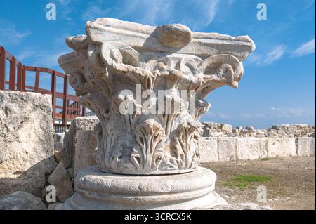 Antica capitale della colonna corinzia situata su una base di pietra nel sito archeologico di Kourion a Cipro. Episkopi, distretto di Limassol Foto Stock