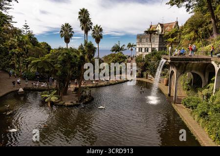 Vista panoramica di un lussureggiante giardino con palme, laghetto e persone che camminano lungo i sentieri vicino a una cascata Monte Palace giardini tropicali di Madeira. Foto Stock