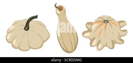 Set di zucca autunnale in tonalità grigie, illustrazione vettoriale piatta per le carte del Ringraziamento, tessuto autunnale e motivi per le feste natalizie Illustrazione Vettoriale