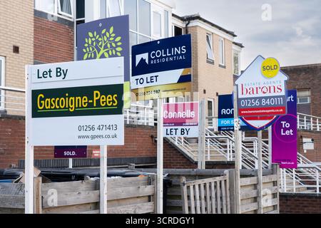 Cartelli degli agenti immobiliari del Regno Unito che mostrano le proprietà in vendita e in locazione. Concetto - crollo del mercato immobiliare, prezzo medio delle case nel Regno Unito, mercato immobiliare, prezzi in aumento Foto Stock