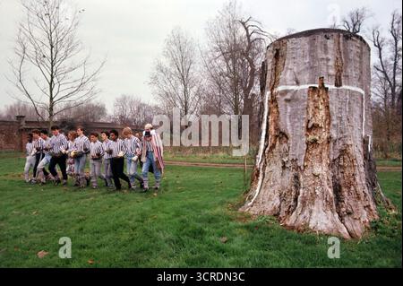 L'Old Tree Stump goal al campo da gioco di Eton Wall Game. Kings Scholars, Eton College Borsary Boys; i college si allineano braccio in braccio all'inizio della partita annuale giocata a novembre. L'Old Tree Stump è un simbolo storico e simbolico all'estremità del college Eton, Windsor Berkshire, Inghilterra 1985 UK 1980s HOMER SYKES Foto Stock