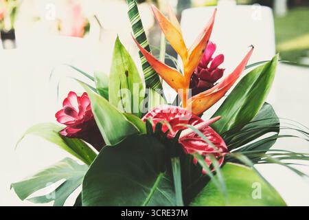 Vista di un bouquet di piante tropicali. Foto Stock
