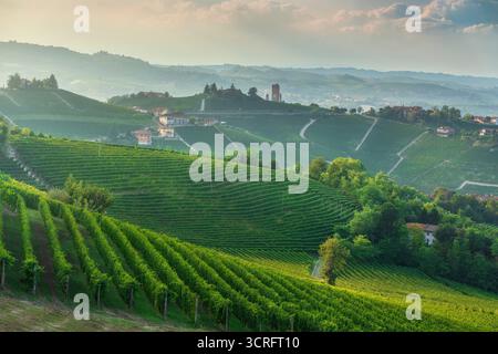 Vigneti terrazzati delle Langhe con la storica torre Barbaresco visibile sullo sfondo nebbioso. Colline ondulate con filari geometrici in Piemonte, Italia Foto Stock
