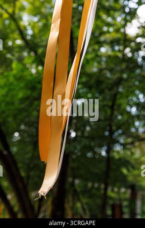 Questa immagine presenta nastri che scorrono in sfumature di arancione e bianco, appesi graziosamente in uno sfondo di fogliame verde sfocato, creando un armoniou Foto Stock