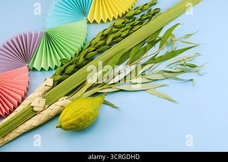 Festa ebraica di Sukkot. Simboli tradizionali Etrog e Lulav in blu Foto Stock