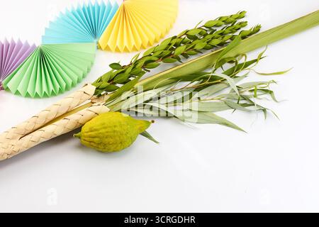 Festa ebraica di Sukkot. Simboli tradizionali Etrog e Lulav Foto Stock