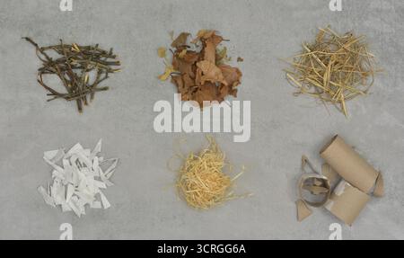 Ingredienti di compost marrone, ingredienti per lo strato di compost marrone. Educazione al compostaggio, prima parte. Foto Stock