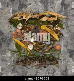 Formazione sul compostaggio: Presentazione su come disporre i livelli in un composter su sfondo scuro con frecce e disegni con gesso. Foto Stock