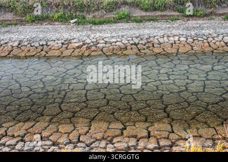Il canale di irrigazione quasi secco mostra fango incrinato e acqua poco profonda nel Parco Nazionale di Doñana, evidenziando gli effetti della siccità estiva sulla landsca Foto Stock